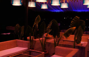 Blue Mushroom Restaurant & Lounge